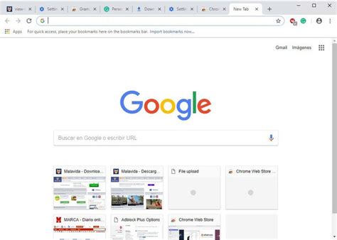 Google Chrome (64.